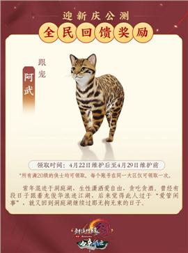 名牌私服传奇